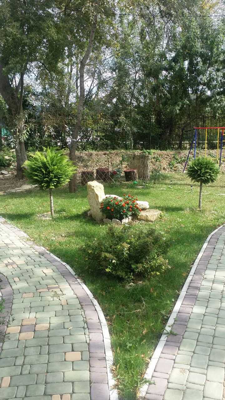 Astuces de pays à faire soi-même à partir de matériaux improvisés: idées créatives et astuces pour la fabrication