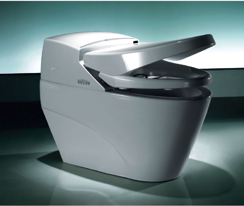 Cuvette WC avec fonction bidet : vues, comment choisir, installer et connecter (+ vidéo)