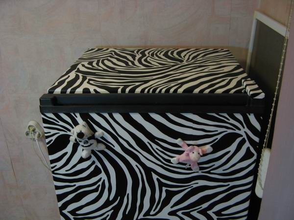 Réfrigérateur à gaz à faire soi-même : le principe de fonctionnement d'un réfrigérateur au propane + un exemple de montage maison