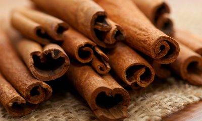 Que faire si les toilettes sont bouchées: un aperçu des méthodes