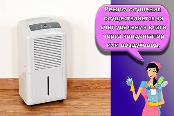 Comment choisir un climatiseur au sol : conseils pour choisir + aperçu des meilleurs modèles