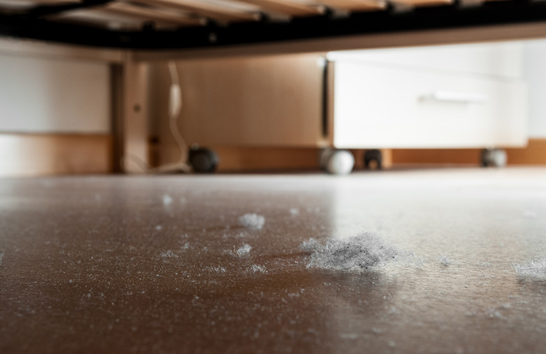 Poussière domestique. analyse et composition de la poussière domestique. acariens