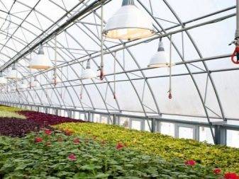 Chauffage des serres et des vérandas : aperçu de 5 options de chauffage différentes