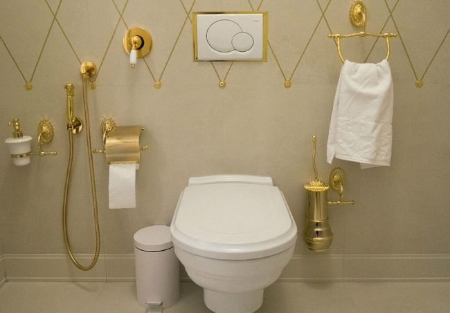 Quel est le meilleur - un bidet ou une douche hygiénique ?