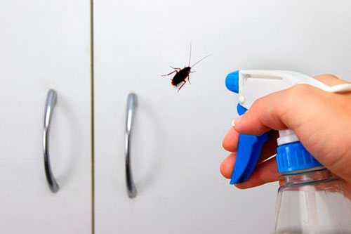 9 façons d'utiliser l'ammoniac pour faciliter le nettoyage