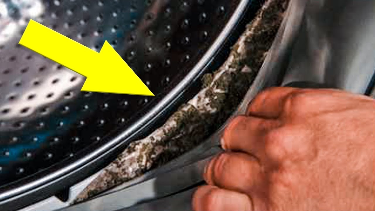 Comment se débarrasser de la moisissure apparue dans la machine à laver