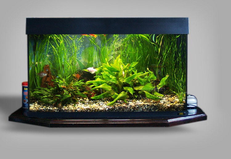 Comment humidifier l'air sans humidificateur dans un appartement en hiver: les meilleures options pratiques