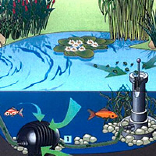 Installation d'une pompe de surface: comment se connecter de ses propres mains