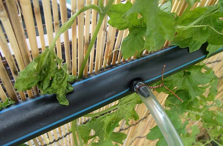 Quels tuyaux choisir pour organiser l'arrosage du jardin - conseils pour choisir parmi les maîtres