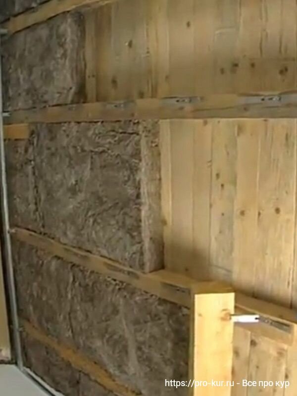 Comment isoler avec compétence un poulailler: le choix des matériaux et les instructions étape par étape