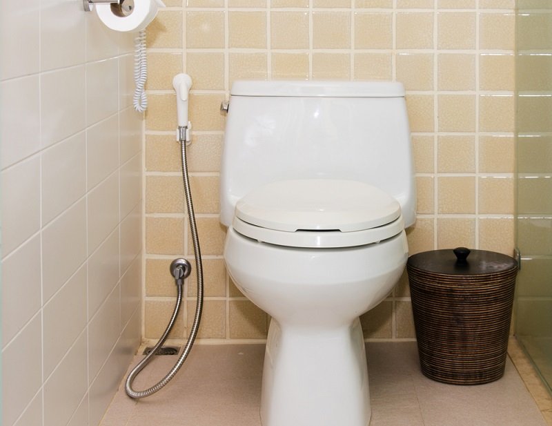 Douche hygiénique (106 photos): hauteur des options avec un robinet de toilette, comment utiliser les toilettes, produits migliore