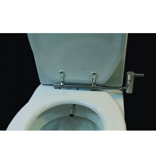 Toilette avec fonction bidet (44 photos): structures suspendues deux en un, modèles avec douche hygiénique intégrée