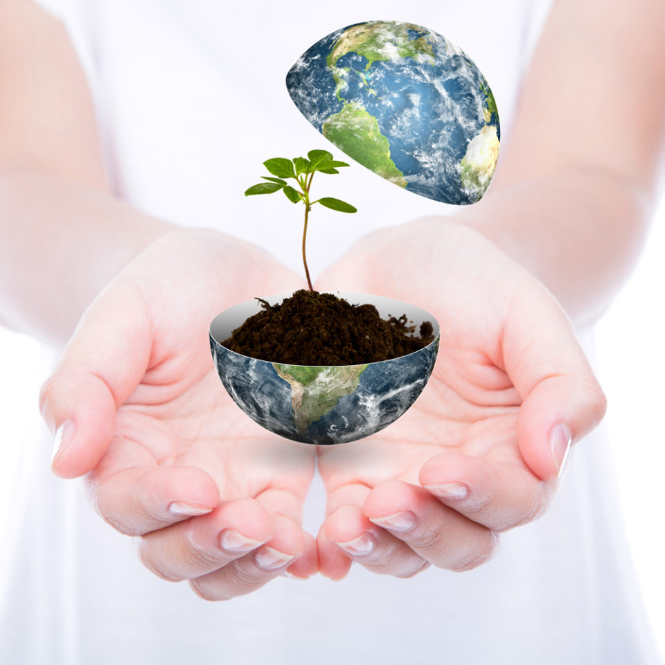 Écologie pour les enfants