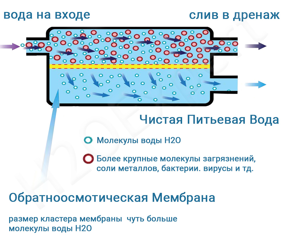 Qu'est-ce que l'osmose : principe de fonctionnement, fonctionnement, inconvénients, salinité de l'eau