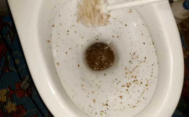 Libérer un ami blanc : réparer un blocage dans les toilettes sans piston ni plomberie