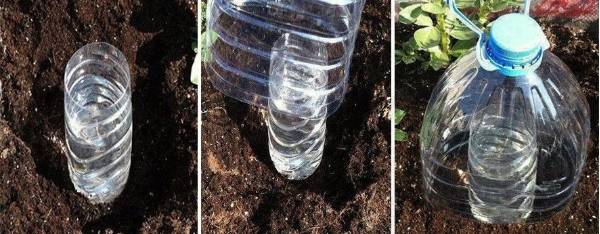 Tuyau pour irrigation goutte à goutte: sur quoi se concentrer lors du choix + règles pour travailler avec