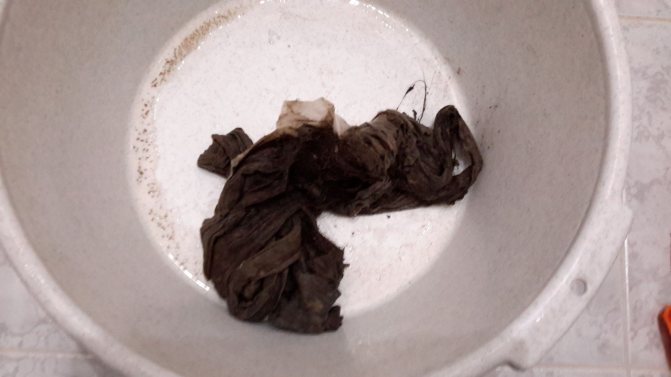 L'odeur des égouts dans l'appartement: types de dysfonctionnements techniques et comment les éliminer