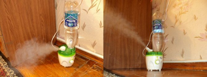 Comment humidifier l'air sans humidificateur - 115 photos des meilleurs humidificateurs de 2019