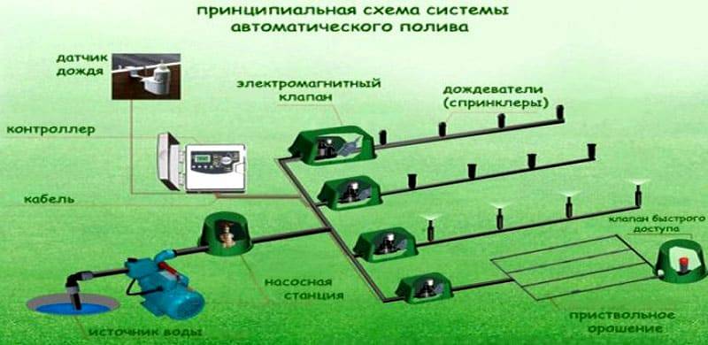 Quels tuyaux choisir pour organiser l'arrosage du jardin - conseils pour choisir parmi les maîtres