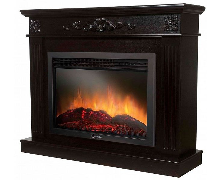 Foyer électrique "electrolux" (electrolux): aperçu, modèles