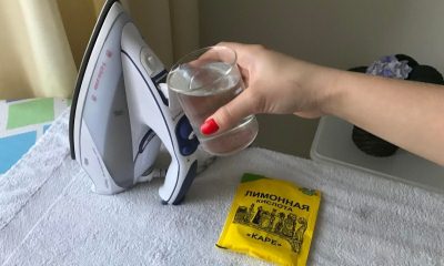 Comment nettoyer un humidificateur du tartre et de la moisissure à la maison : les meilleurs moyens + instructions de nettoyage