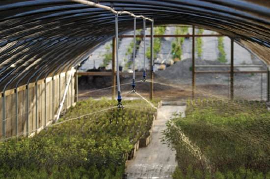 Caractéristiques de la sélection d'une pompe pour arroser le jardin, en fonction de la source de prise d'eau