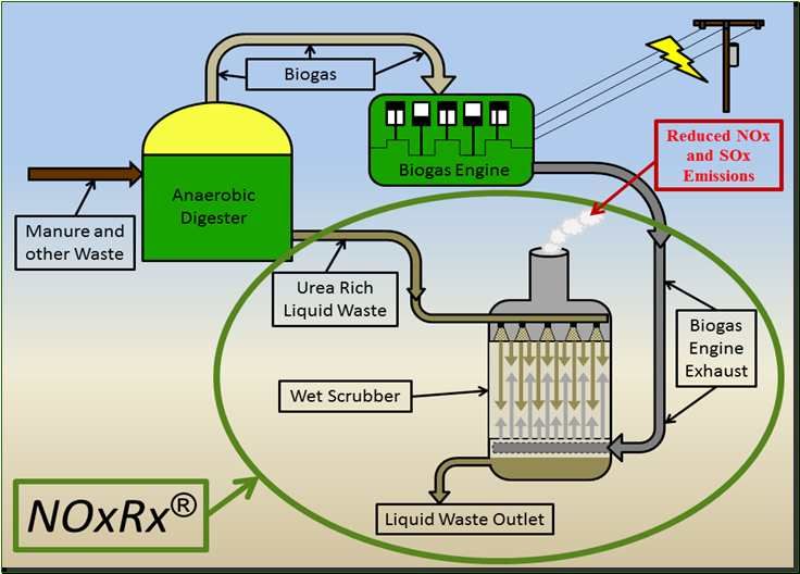Usine de biogaz DIY : instructions pour la collecte