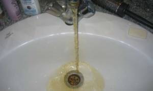 Pourquoi l'eau de l'aquarium est-elle devenue blanche et comment y faire face ?