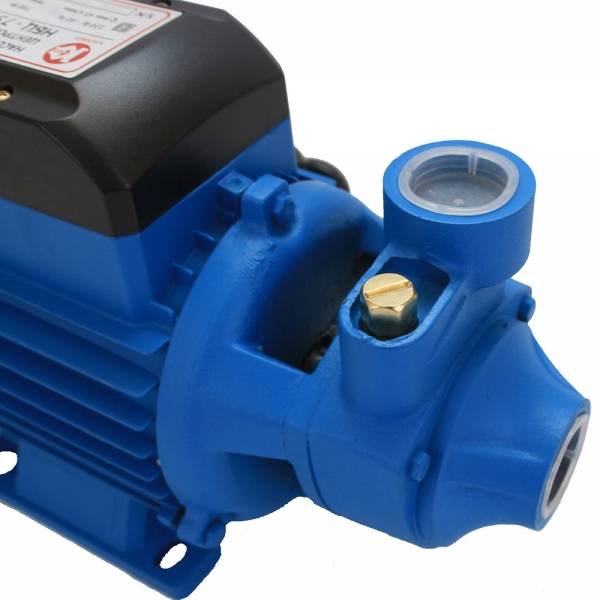 Pompes "calibre": un aperçu des modèles populaires et de leurs principales caractéristiques