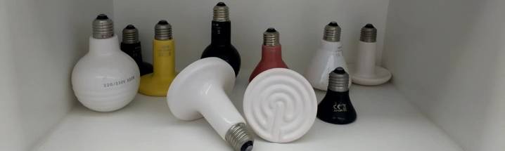 Appareils de chauffage pour chauffer les poulets dans les poulaillers