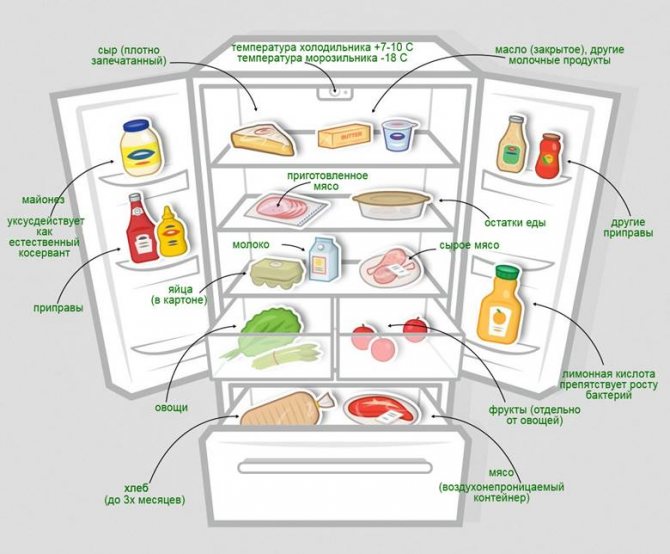 Température optimale dans le réfrigérateur et le congélateur pour la conservation des aliments