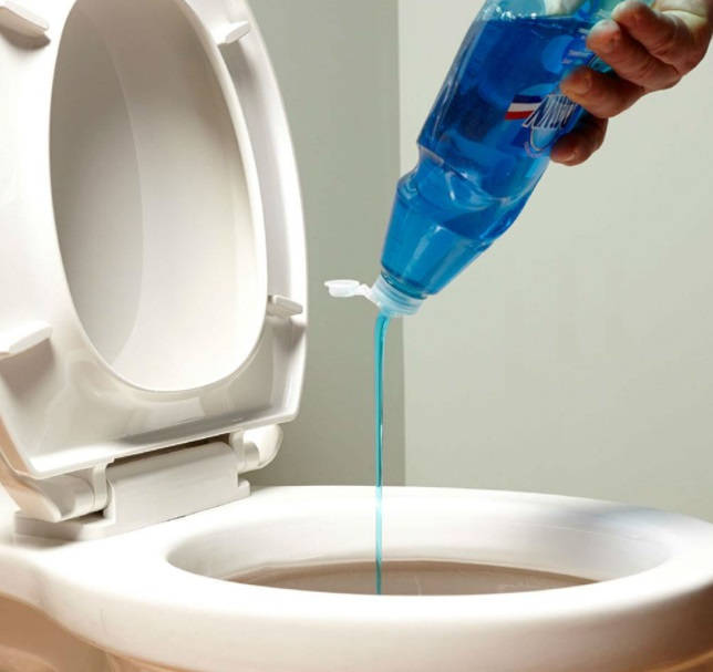 Pourquoi vous ne pouvez pas jeter du papier toilette dans les toilettes