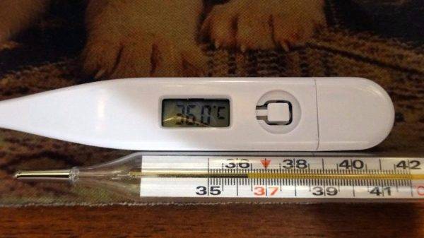 Qu'est-ce que le point de rosée : son lien avec la construction + méthodologie de calcul