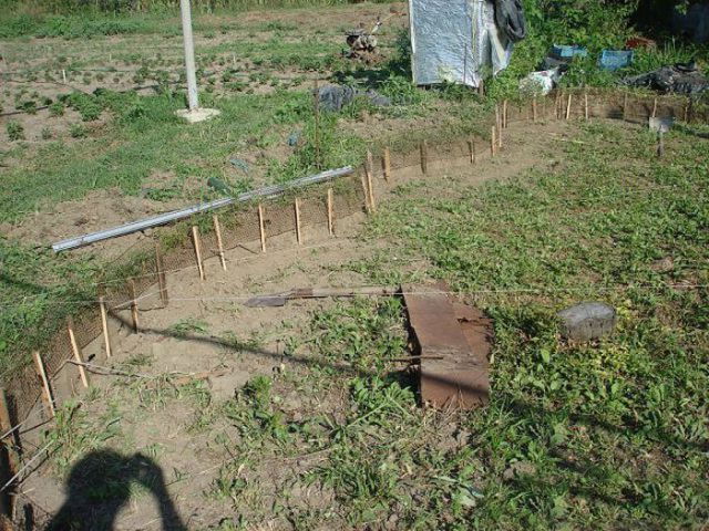 Comment faire une piscine dans le pays de vos propres mains: les meilleures options et master classes