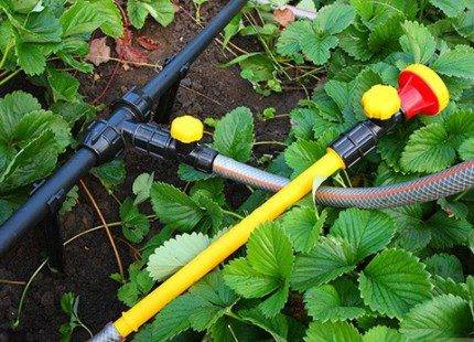 Approvisionnement en eau du pays à partir du puits : analyse des éléments constitutifs du système