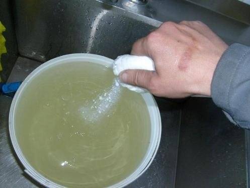 Tour d'horizon des différents produits biologiques pour fosses d'aisances : des bactéries garantes de la propreté