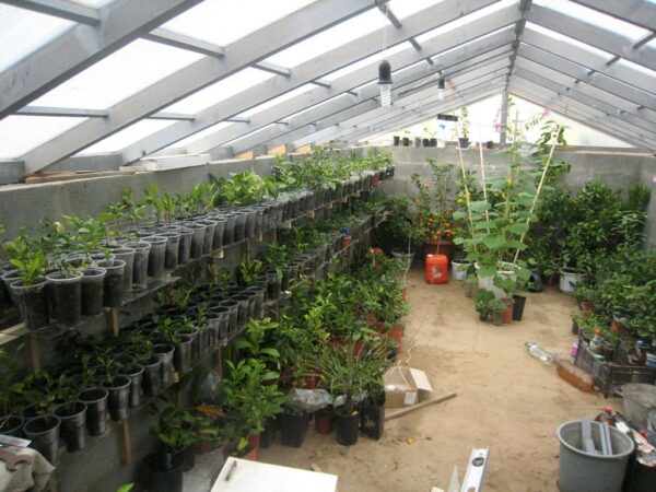 Chauffage des serres et des vérandas : aperçu de 5 options de chauffage différentes