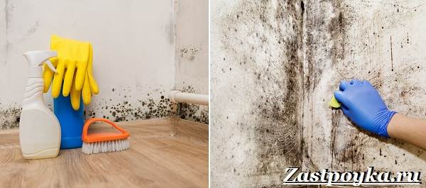 Comment se débarrasser de la moisissure dans la salle de bain : méthodes efficaces