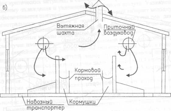 Étable à chèvres à faire soi-même: instructions étape par étape, agencement, isolation
