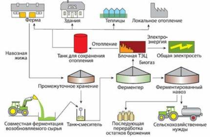 Comment obtenir du biogaz à partir de fumier : un aperçu des principes de base et de la conception d'une usine de production