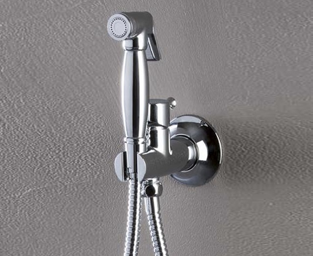 Douche WC sanitaire : 8 conseils pour choisir | Le blog de construction de Viti Petrov