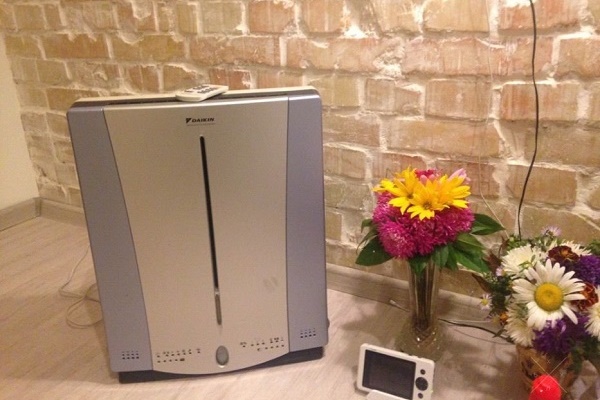 Purificateur d'air pour allergiques et asthmatiques : classement et comment choisir ?