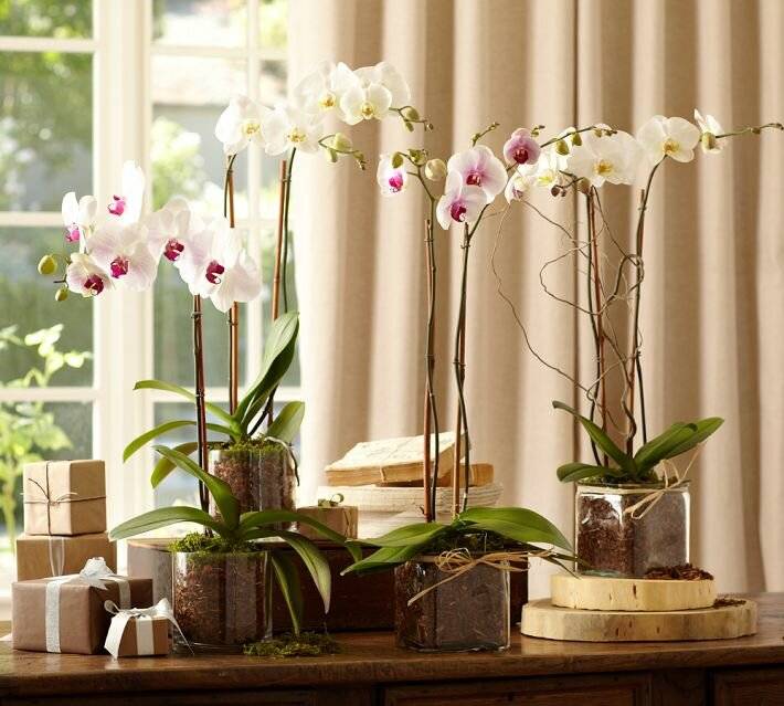 Est-il possible de garder des fleurs artificielles à la maison