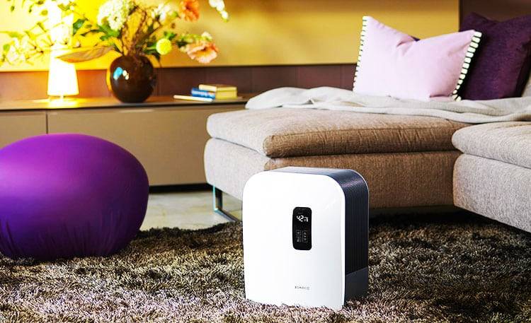 Humidificateurs silencieux pour la maison : classement TOP-10 des unités les plus silencieuses