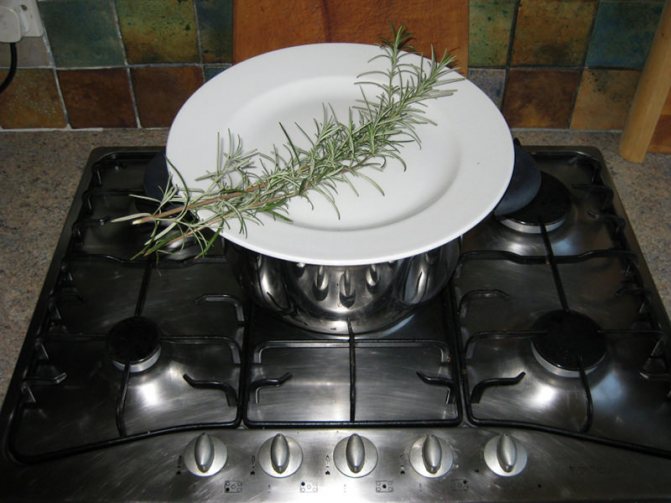 Réparation de la cuisinière à gaz Hephaestus: pannes typiques et méthodes pour leur élimination