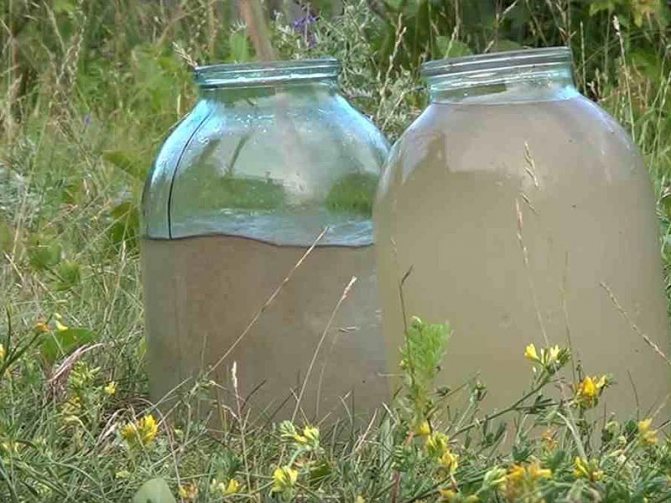 L'eau du puits ou du puits est devenue trouble: causes et que faire