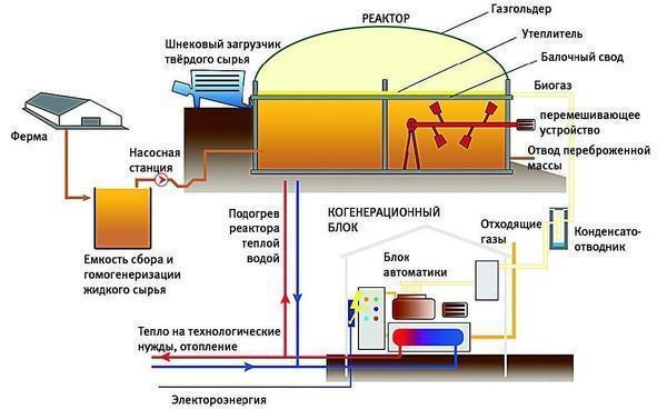 Comment fabriquer du biocarburant de vos propres mains à partir de fumier à la maison