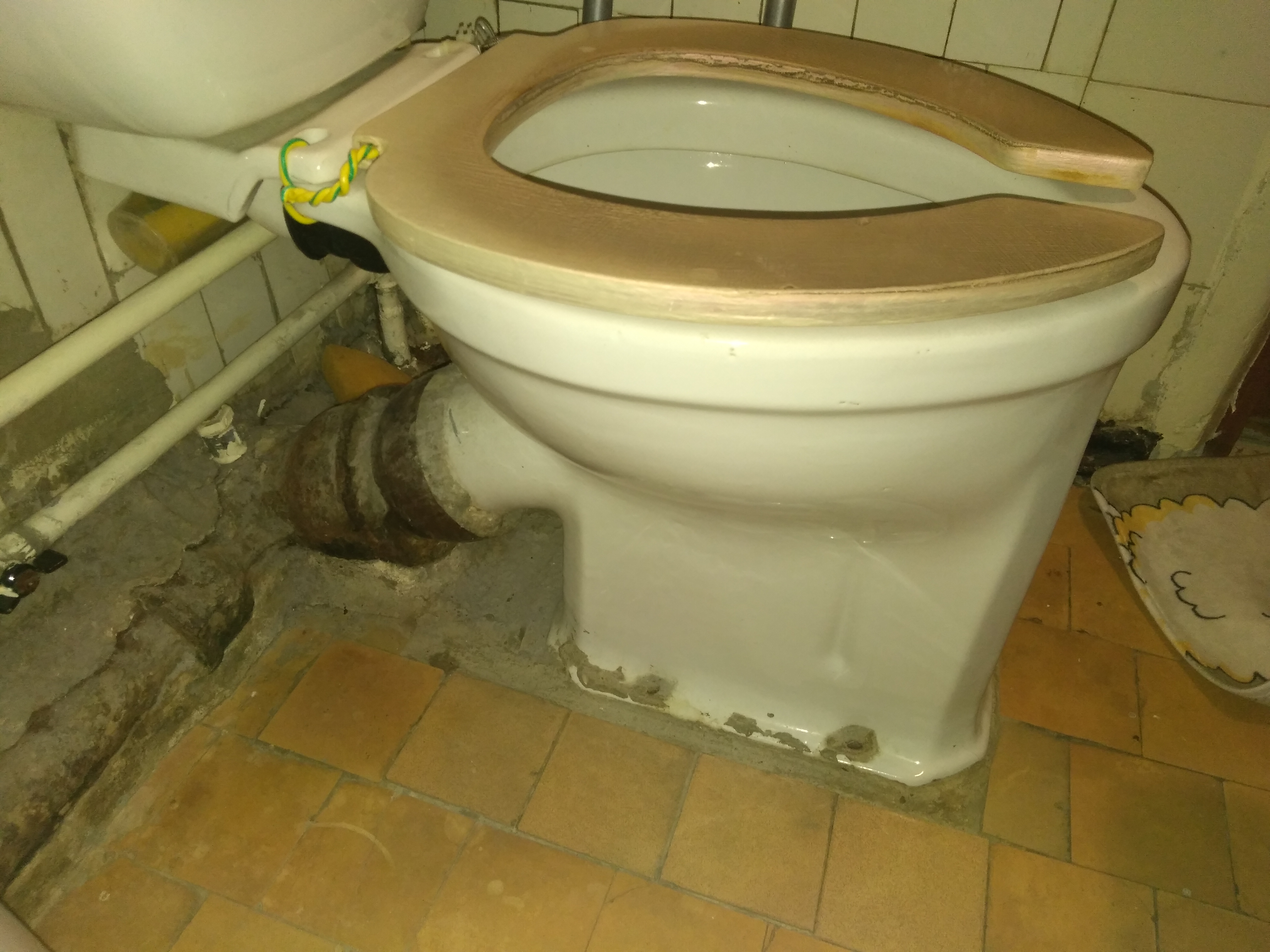 Remplacement du WC avec démontage de l'ancien : préparation, fixation et raccordement | fourmi | construction et réparation, aménagement paysager et autres délices champêtres