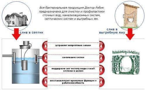 Bactéries pour fosses septiques "Docteur Robik": conseils d'achat et mode d'emploi