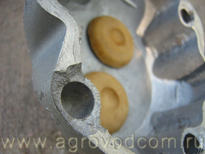 Pompes Typhoon : un aperçu des spécifications techniques et des avis des consommateurs